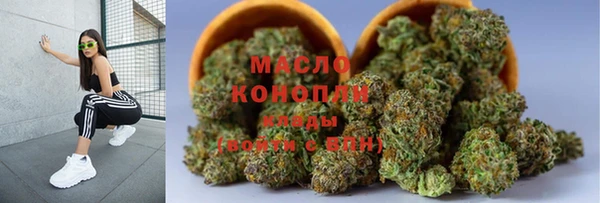 индика Гусев