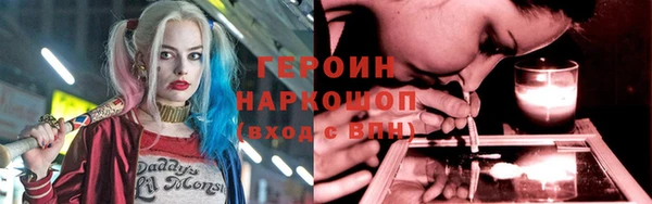 индика Гусев