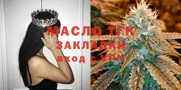 индика Гусев