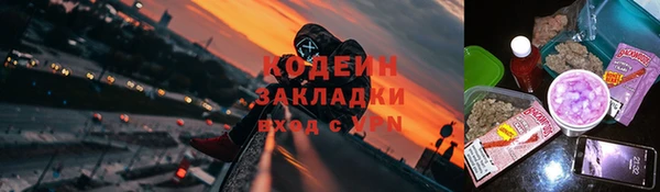 ПСИЛОЦИБИНОВЫЕ ГРИБЫ Гусь-Хрустальный