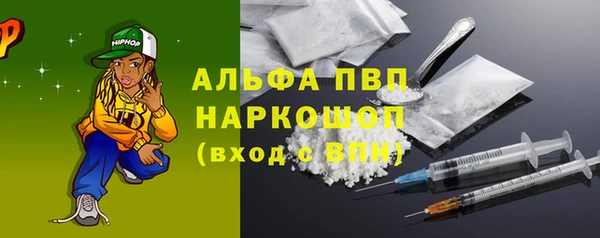 ПСИЛОЦИБИНОВЫЕ ГРИБЫ Гусь-Хрустальный