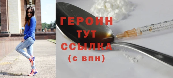 индика Гусев
