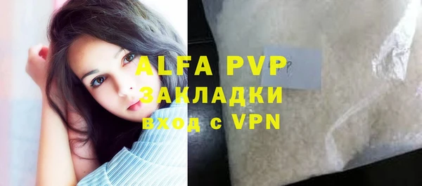 индика Гусев