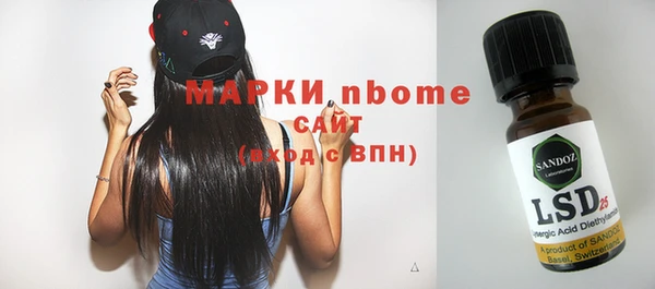 индика Гусев
