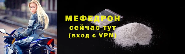 индика Гусев