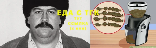 индика Гусев