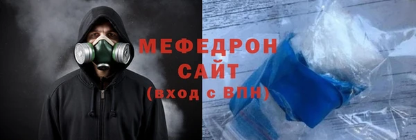 индика Гусев