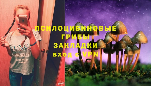 ПСИЛОЦИБИНОВЫЕ ГРИБЫ Гусь-Хрустальный