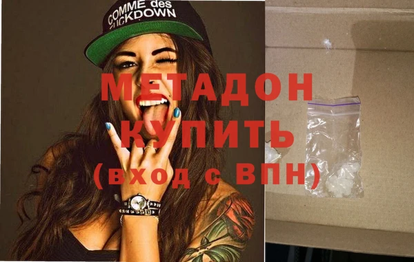 индика Гусев
