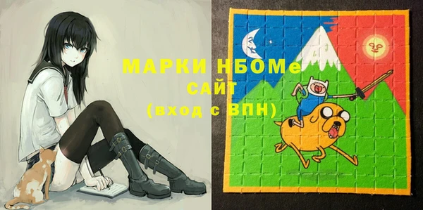 ПСИЛОЦИБИНОВЫЕ ГРИБЫ Гусь-Хрустальный
