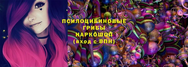 индика Гусев