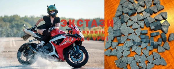 индика Гусев