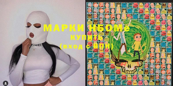 ПСИЛОЦИБИНОВЫЕ ГРИБЫ Гусь-Хрустальный
