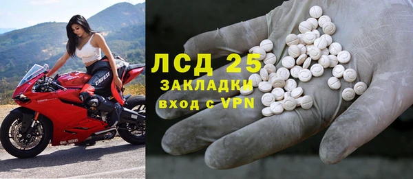 индика Гусев