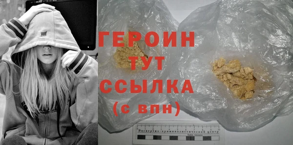 индика Гусев