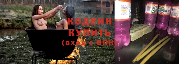 ПСИЛОЦИБИНОВЫЕ ГРИБЫ Гусь-Хрустальный