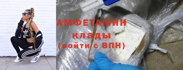 ПСИЛОЦИБИНОВЫЕ ГРИБЫ Гусь-Хрустальный