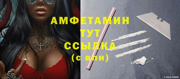 индика Гусев