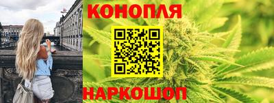 спиды Волгодонск