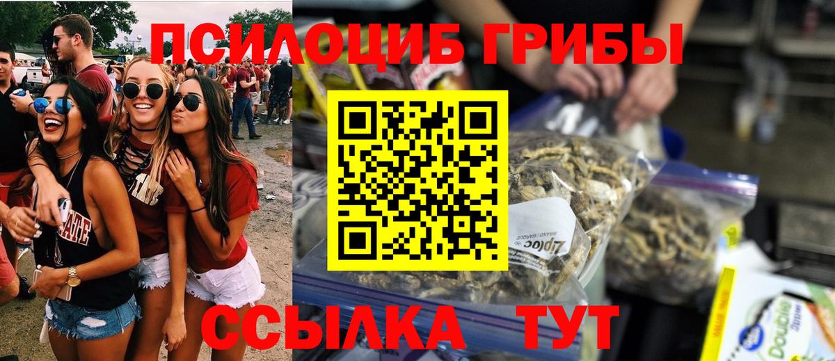 Псилоцибиновые грибы Cubensis  Вход с VPN  Губкинский 