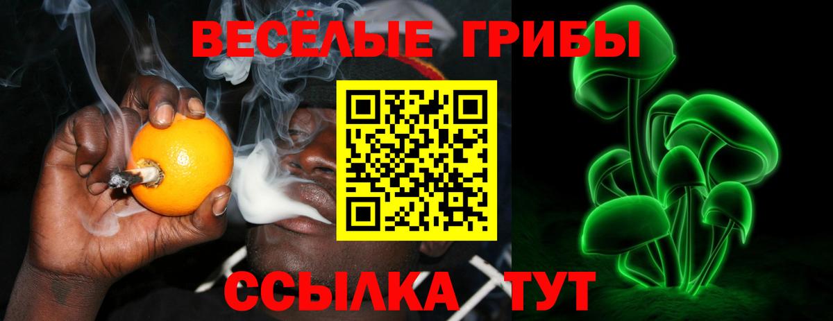 Галлюциногенные грибы MAGIC MUSHROOMS Губкинский