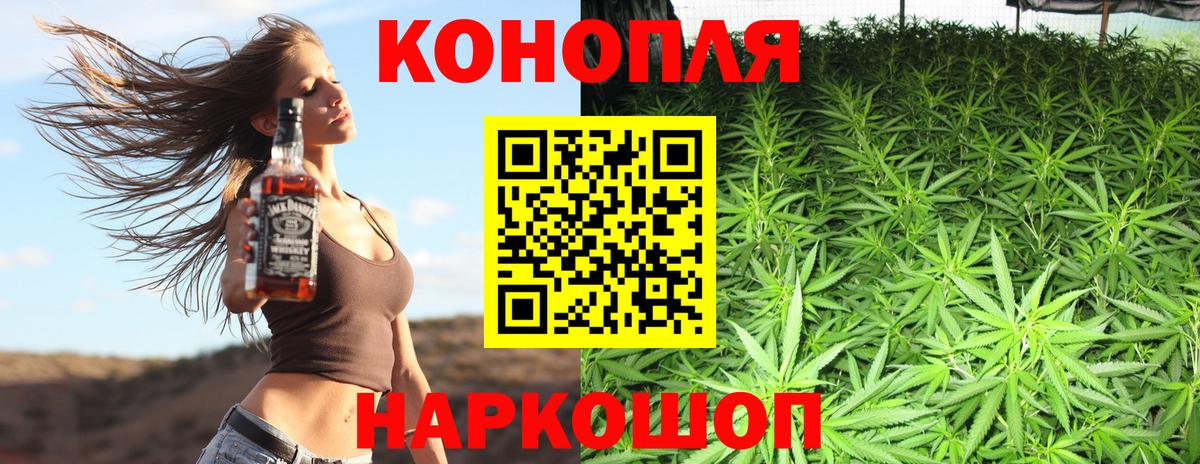 Шишки марихуана семена Губкинский